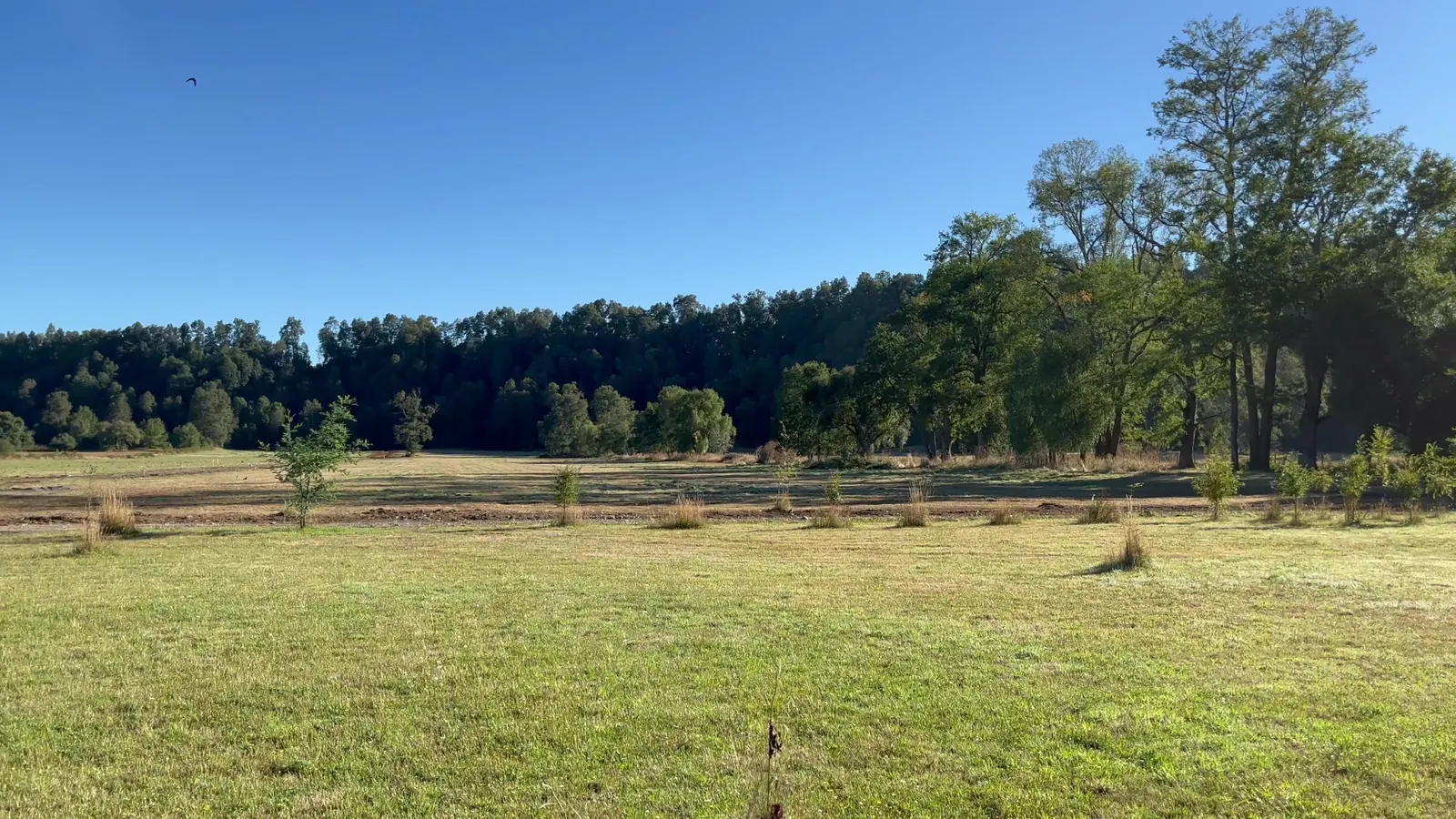 Vista de Campo Maitén