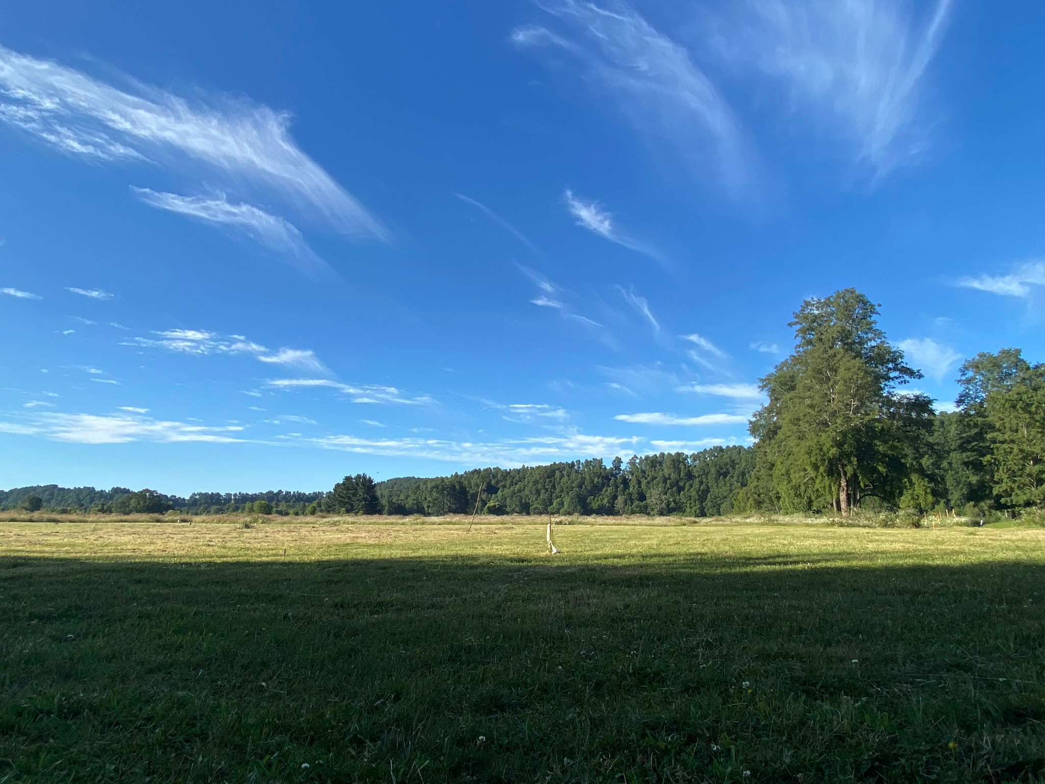 Paisaje del sur de Chile con montañas y lago
