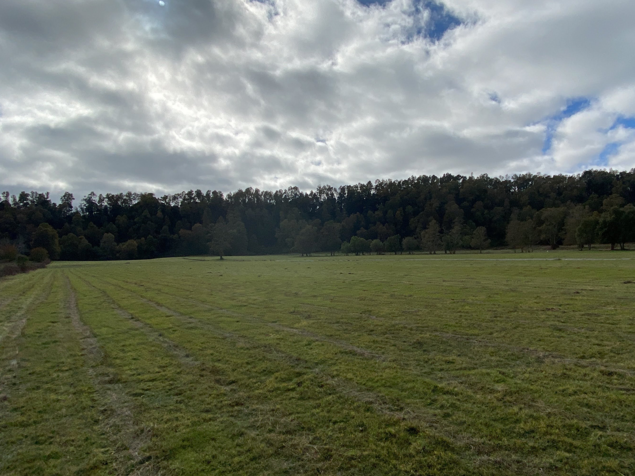 Montañas y lago en el Sur de Chile